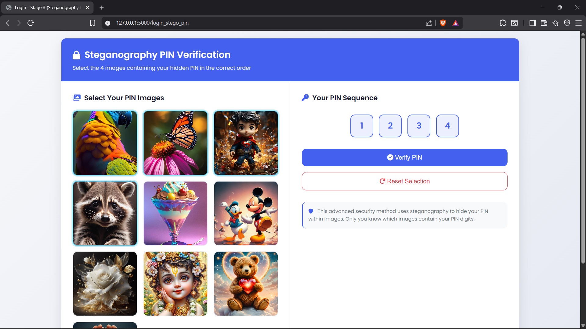PIN and Steganography Verification Screen